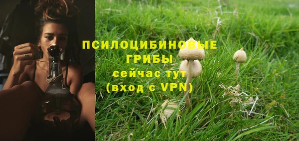 бошки Абинск