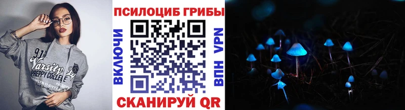 блэк спрут как зайти  Домодедово  Псилоцибиновые грибы Psilocybine cubensis  купить наркотик 